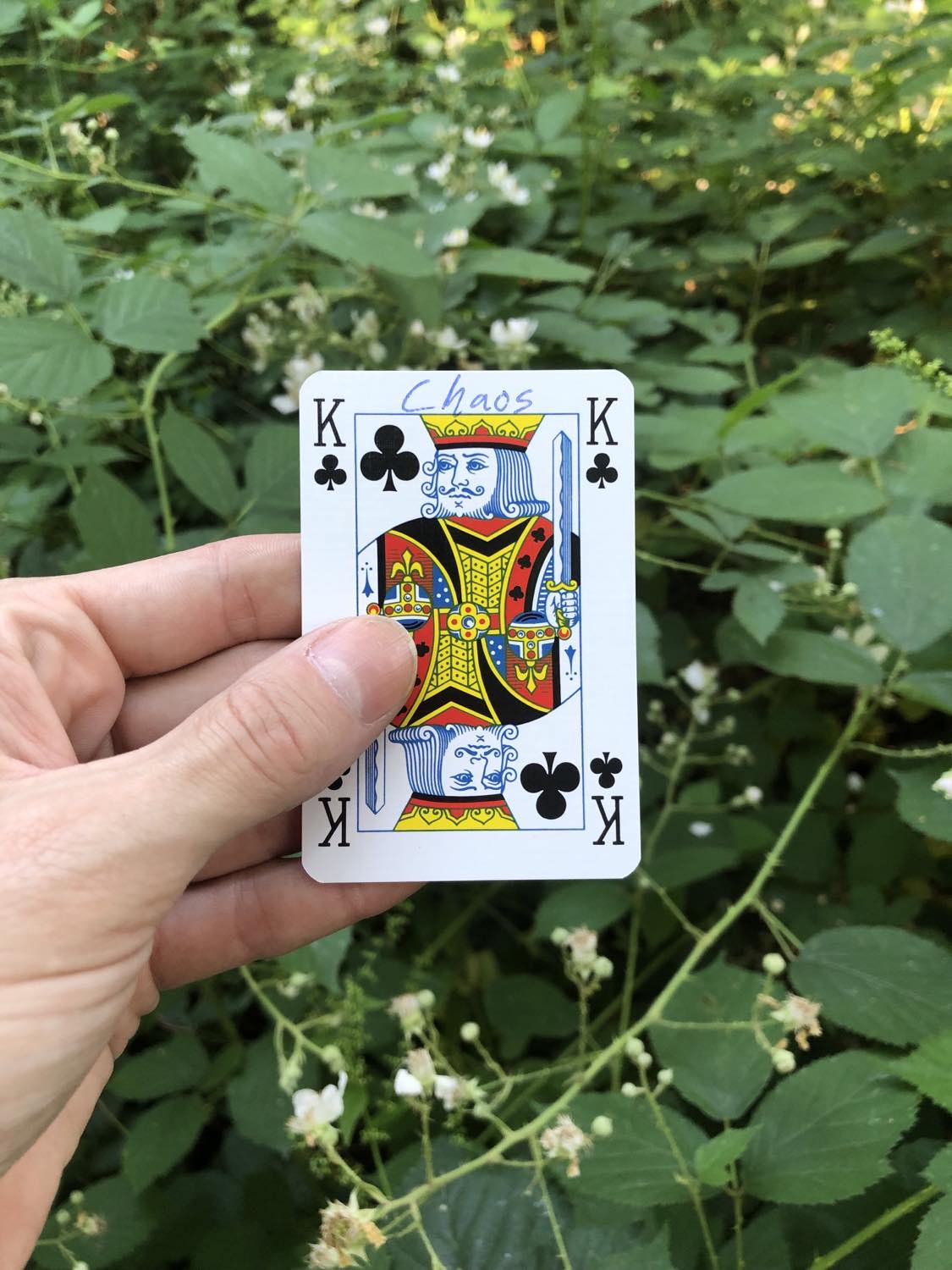 The king of clubs with the word Chaos written on it, held above the flowers.