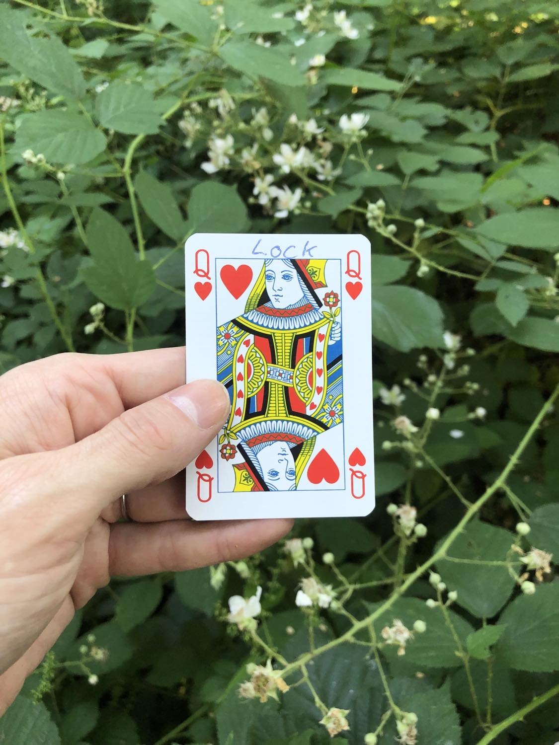 The queen of hearts with the word Lock written on it, held above the flowers.