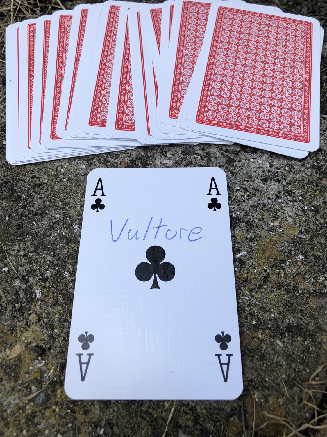 The ace of clubs with the word Vulture written on it, laying on the bridge support.