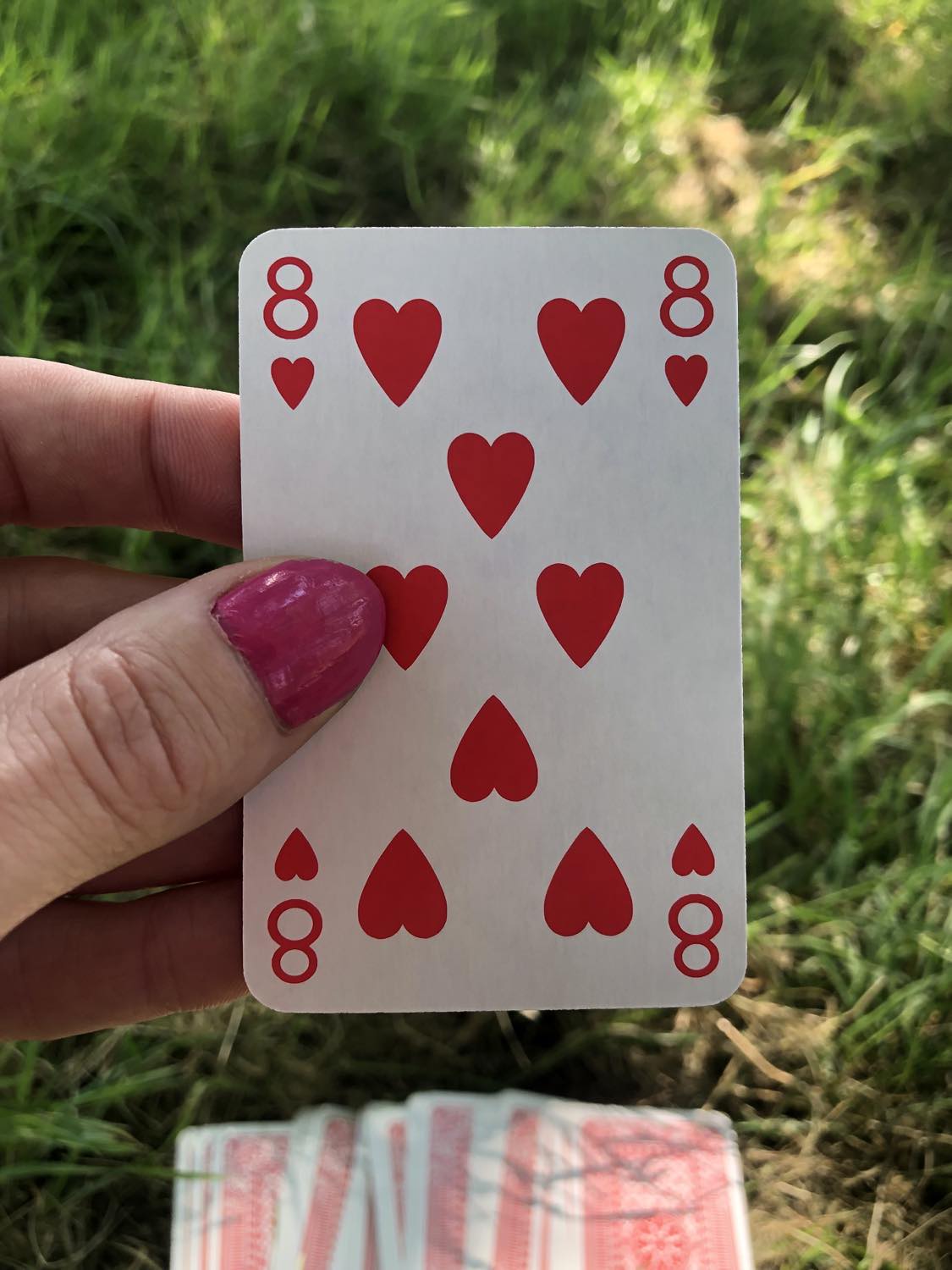 The eight of hearts, held up from the drawn out cards.