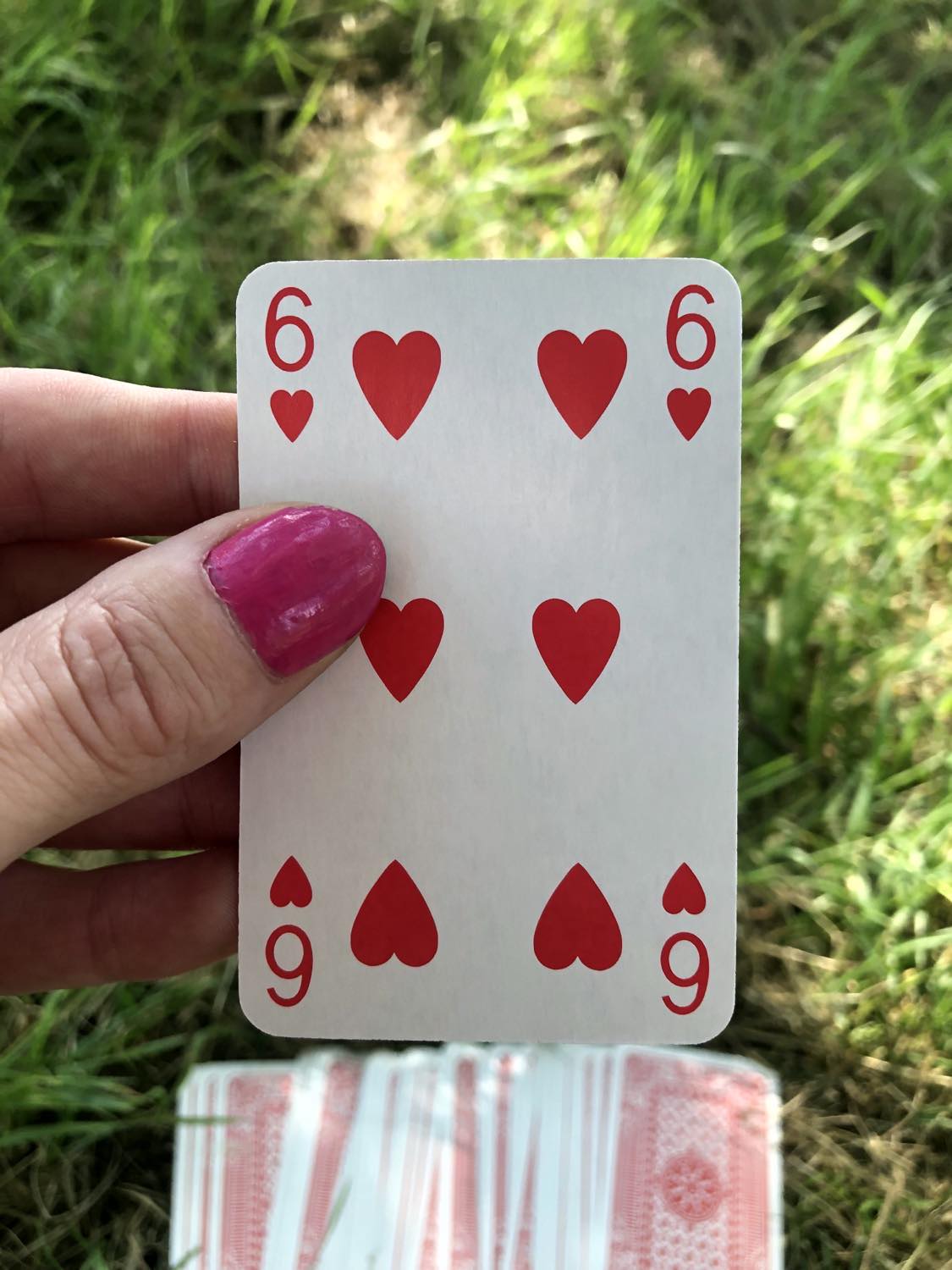 The six of hearts, held up from the drawn out cards.