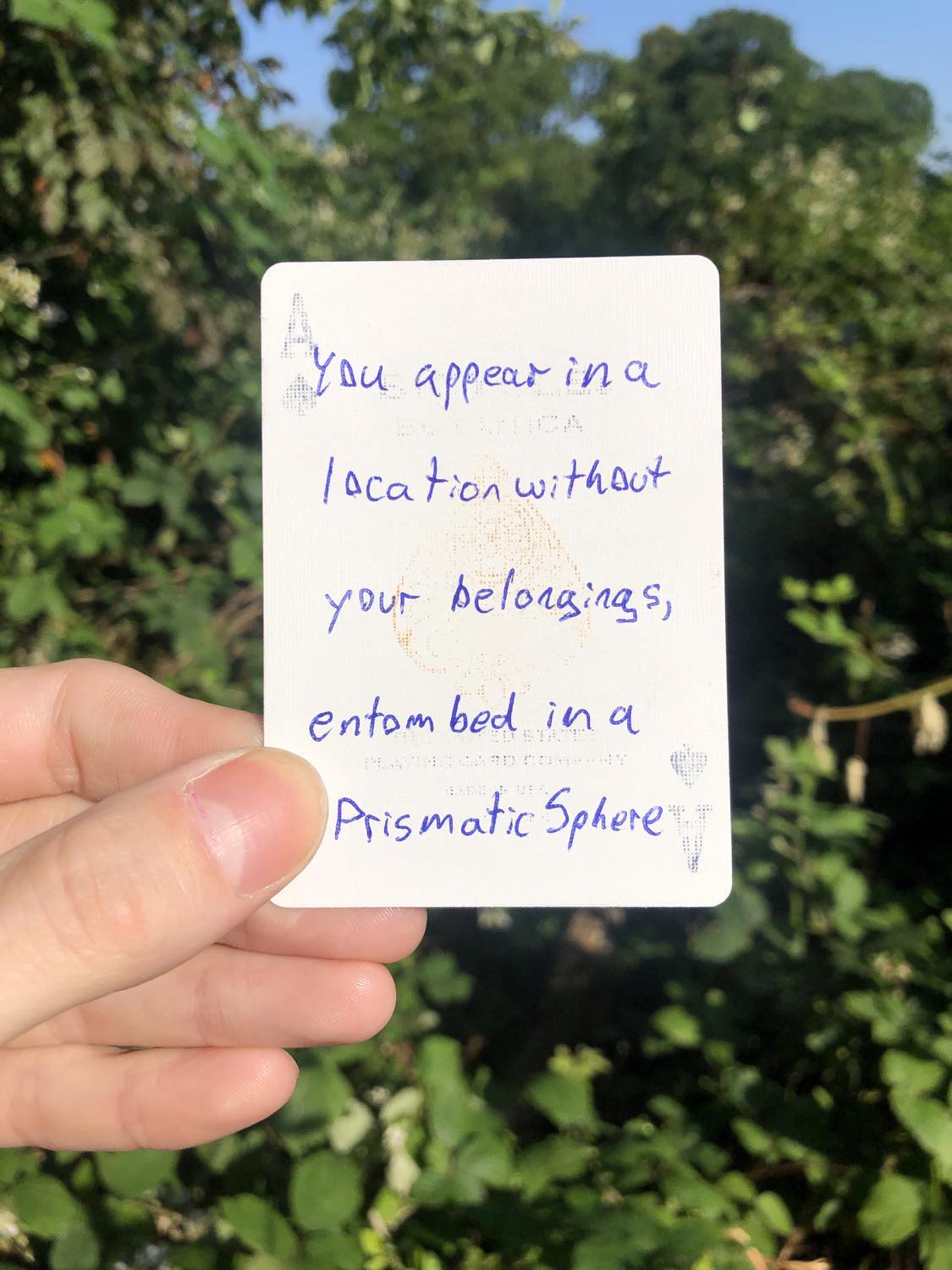 The ace of spades, held with the trees and foliage behind. You appear in another location without your belongings, emtombed in a Prismatic Sphere.