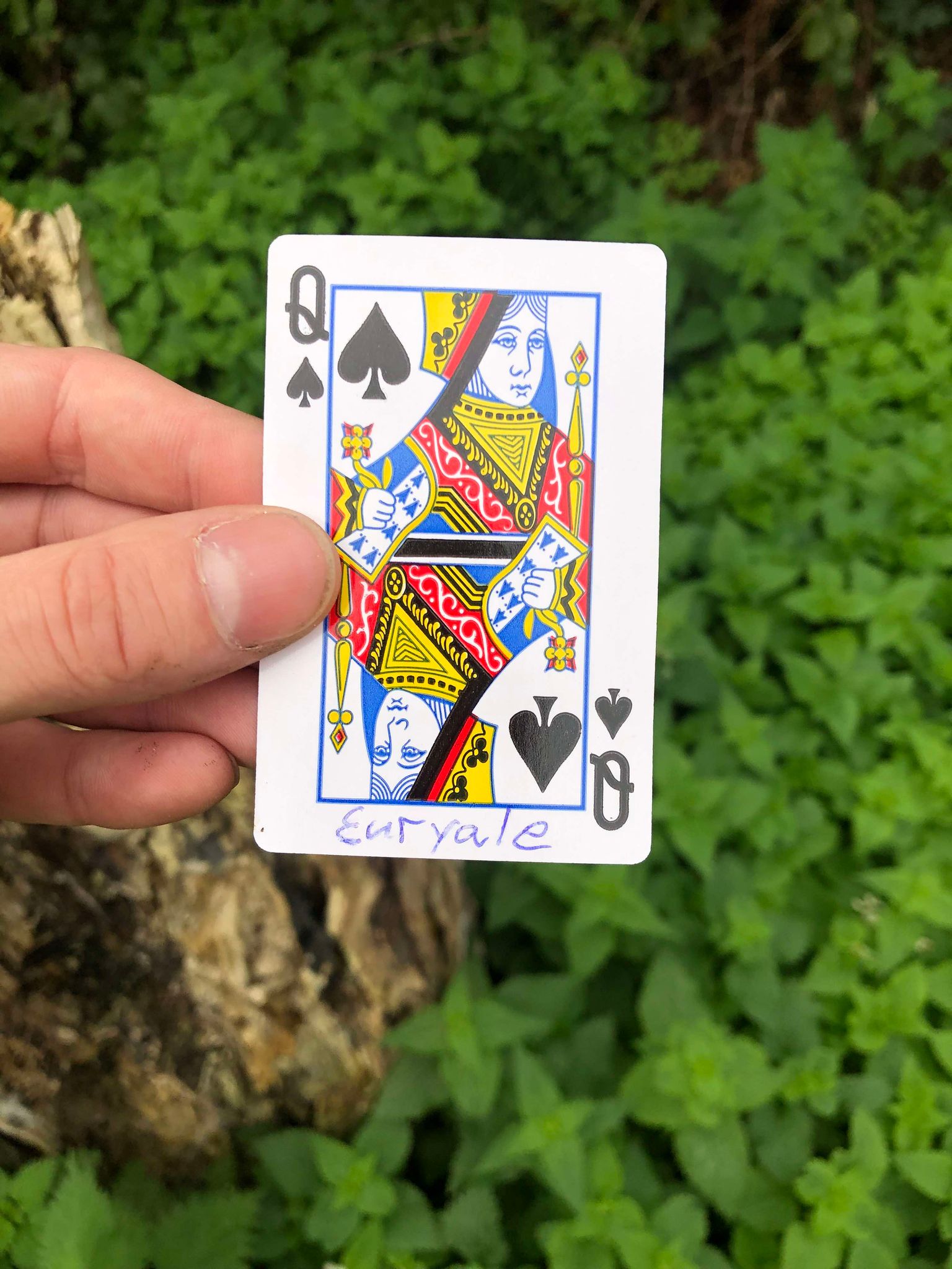 Holding up the card, the stump and foliage visible behind it, your fate is sealed.