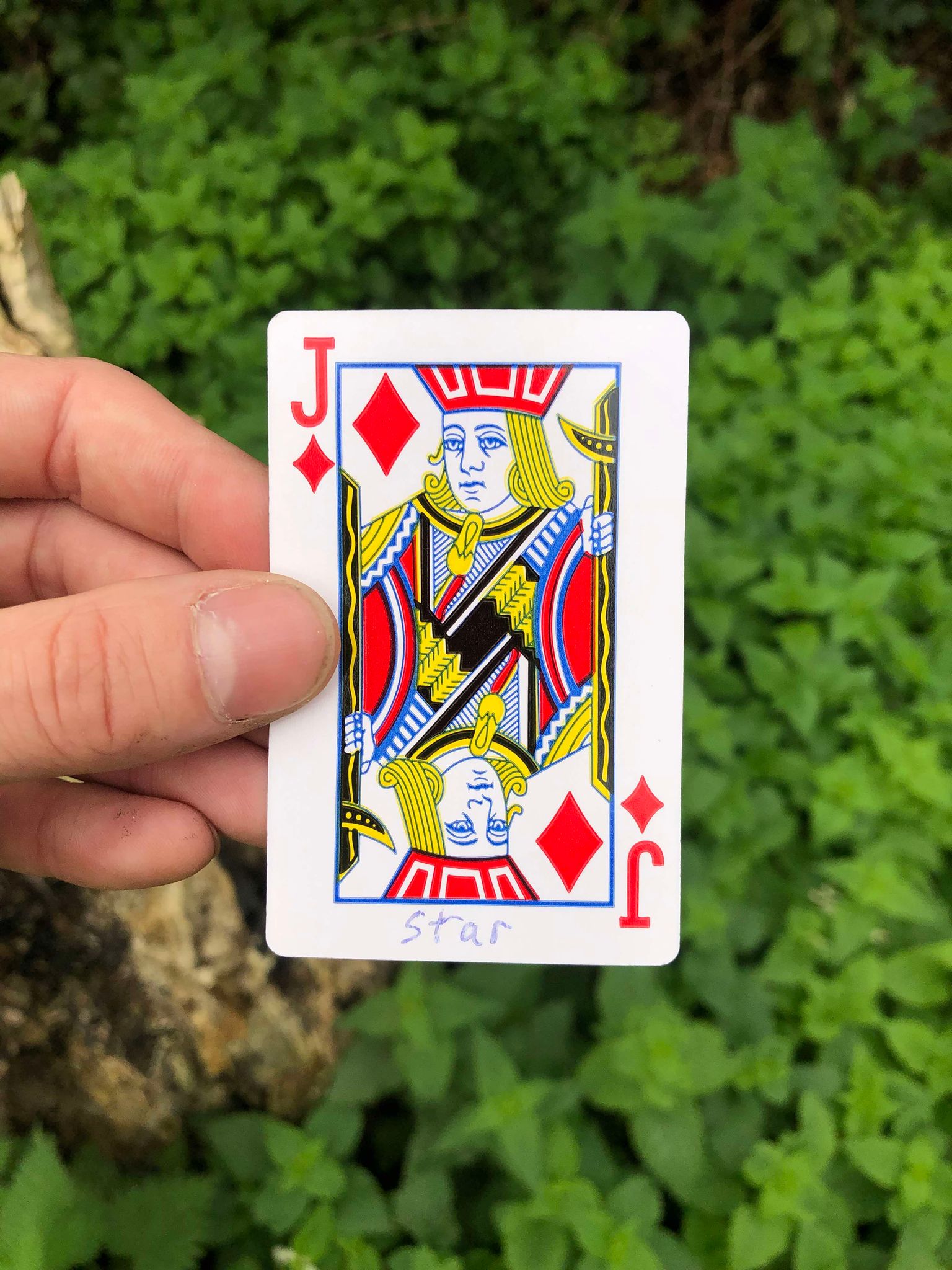 Holding up the card, the stump and foliage visible behind it, your fate is sealed.