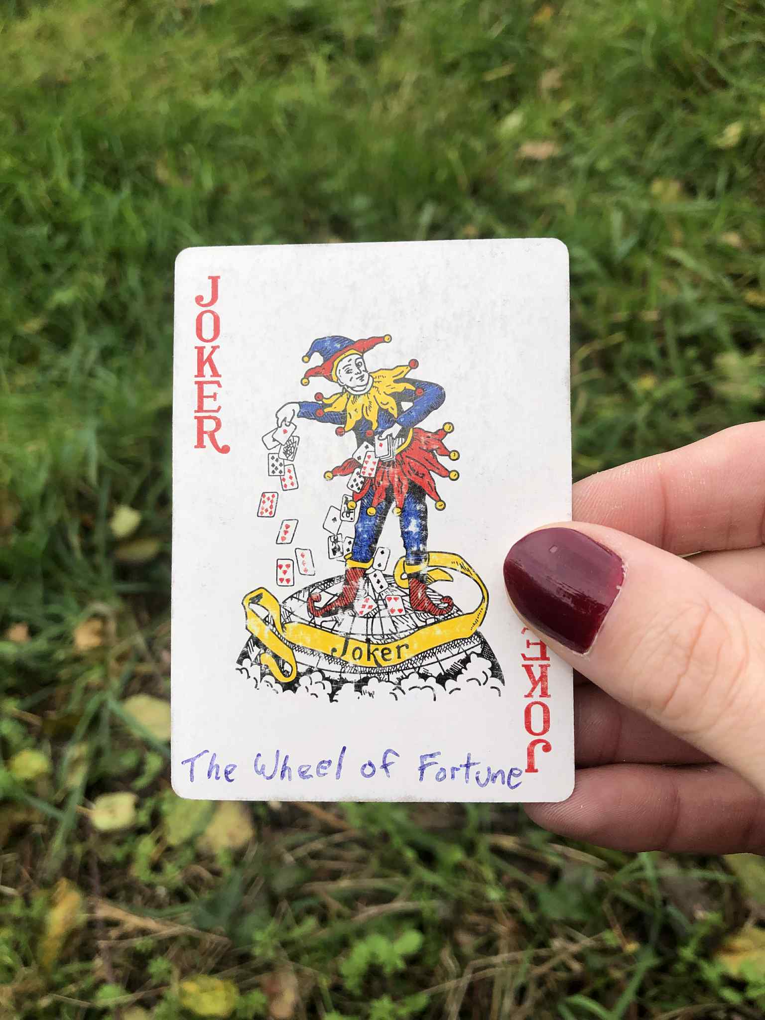 Crouched in the grass, you hold the drawn card before you.