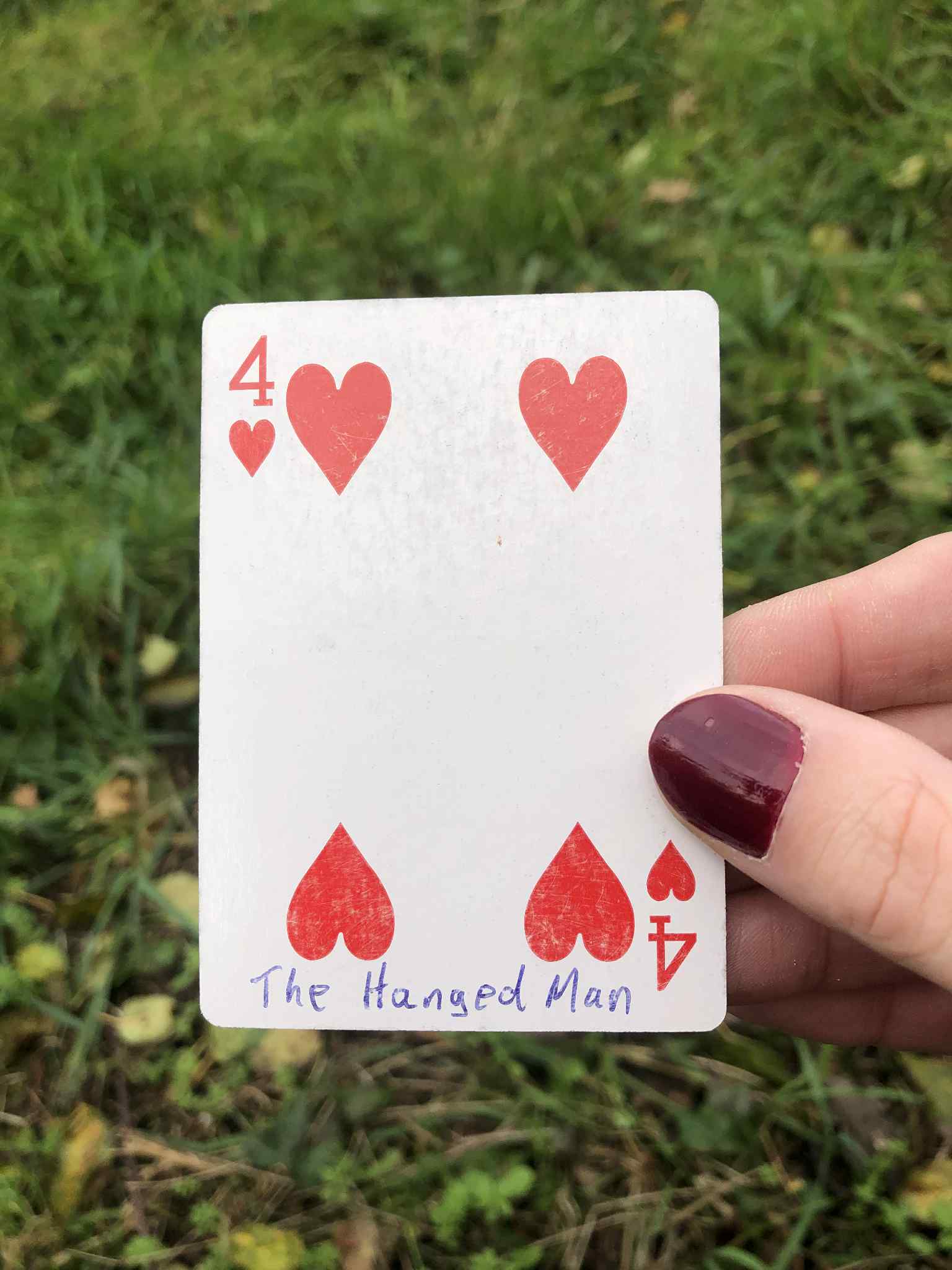 Crouched in the grass, you hold the drawn card before you.