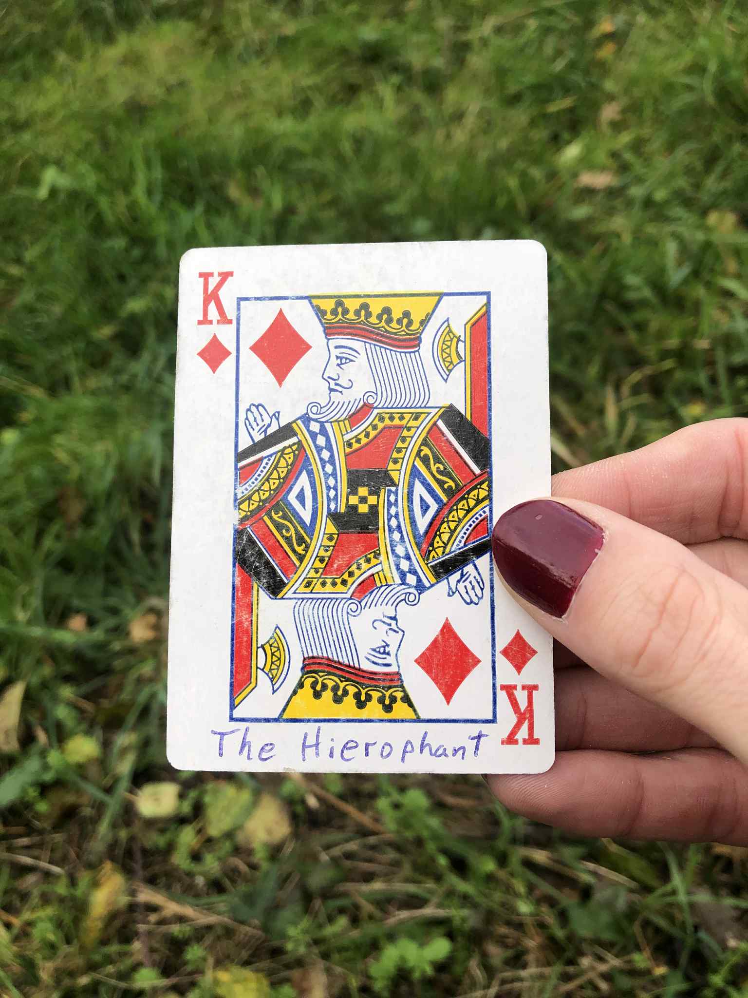Crouched in the grass, you hold the drawn card before you.
